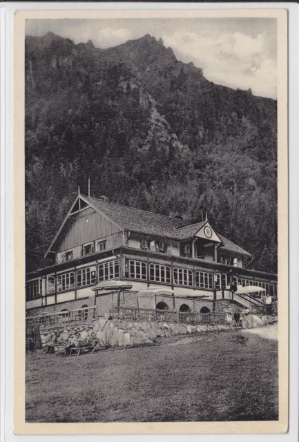 AK Vysoke Tatry, Hotel Kamzik, Hohe Tatra, Hotel Gemse, um 1940