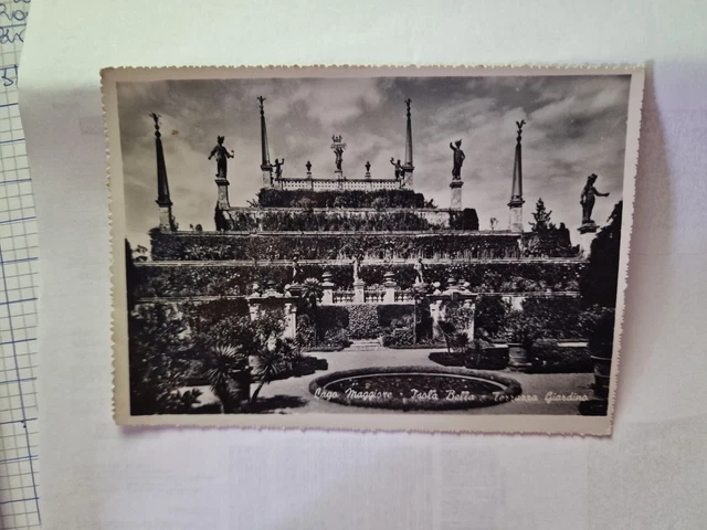 Cartolina Lago Maggiore Isola Bella Terrazza Giardino 1955  RV232 ^