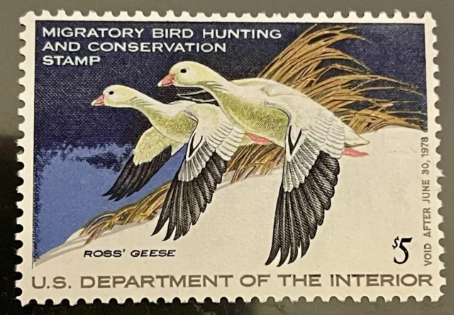 #RW44 1977 - US Federal Duck Stamp - Mint OG NH
