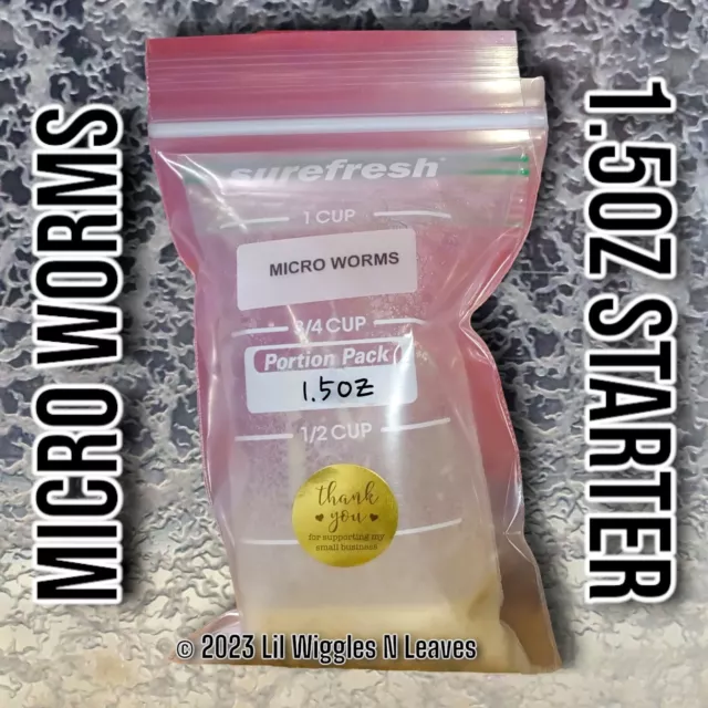 Microworm Cultures - 1.5oz Starter - Live food for Axolotls, Discus & More!