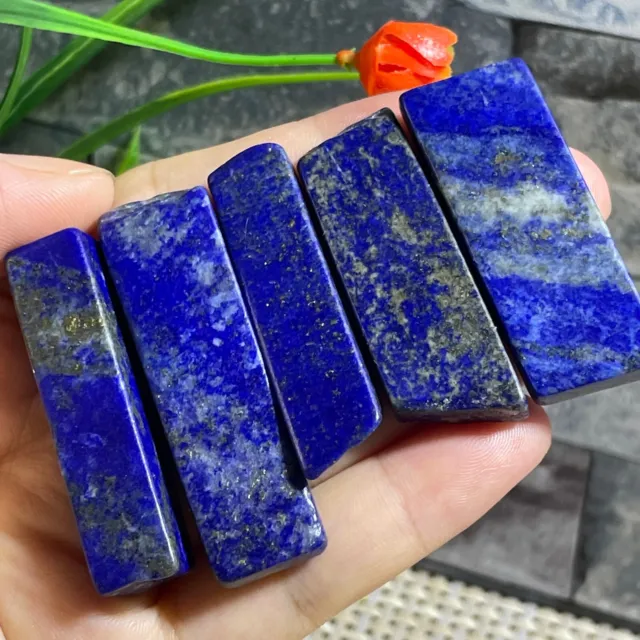 5pcs Natural Lapis Lazuli Quartz Crystal polished Stone Healing 60g 45-50mm ax11