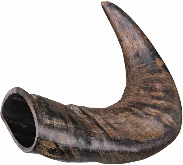 Trixie Genuine Buffalo Chewing Horn for Dogs, Medium