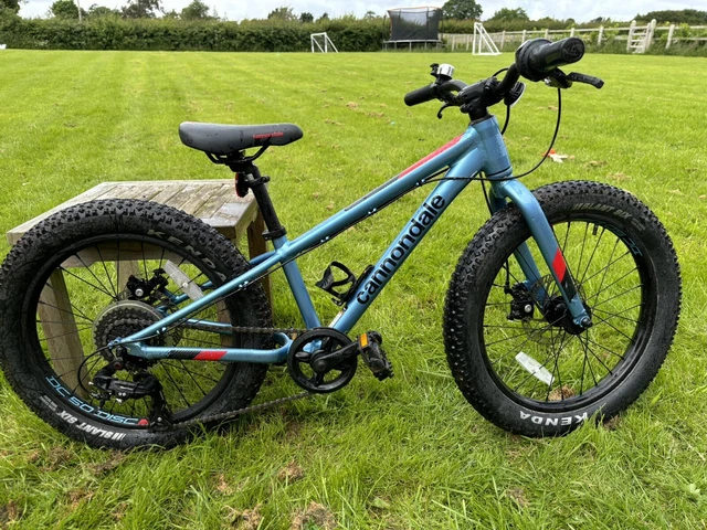 Cannondale cujo 20 inch clearance