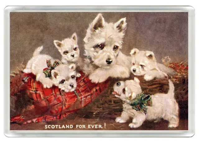 West Highland White Terrier Westie Dog Print Novelty Fridge Magnet   Great Gift