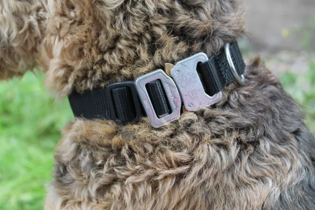 Onie Canine 'Onie' 25mm Dog Collar - Security k9 Fashion Cobra Mil Spec