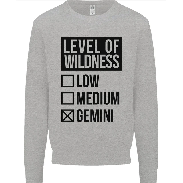 Felpa maglione bambini Levels of Wildness Gemini 2