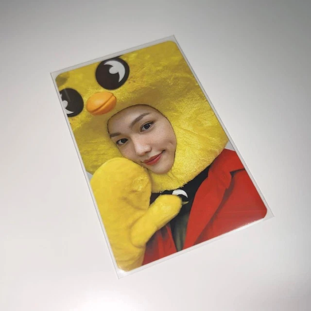 Carte à Collectionner Stray Kids "KARMA" - Carte Photo Porte-Bonheur Aléatoire - Pour Fans Et Collectionneurs