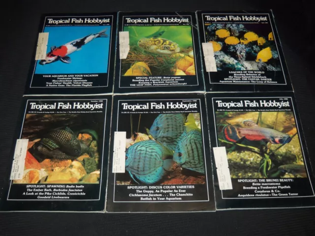 1981-1985 Tropical Fish Hobbyist Magazine Lot Of 31 Different Issues - O 3075 2