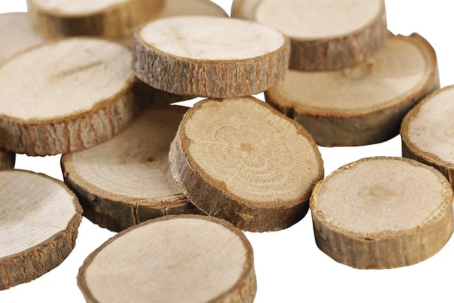 Natural Wood Slices 1"-1.5" Unfinished Round Discs, 50 ct