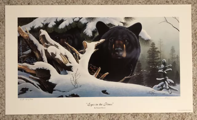 Daniel Renn Pierce "EYES IN THE PINES"-Black Bears-Wildlife-Art*PUBLISHERS PROOF