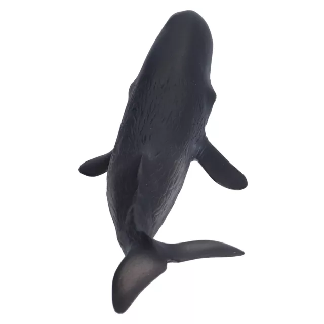 Simulation Sea Animal Model Whales Figurine Model Sea Animal Model For Birthday