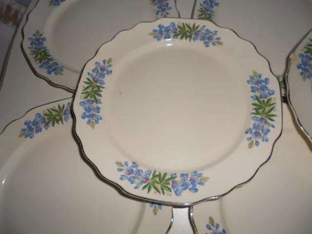 8 WS George Blue Flora Lido Scalloped Silver Trim 9 1/4" Dinner Plates USA #196A 2