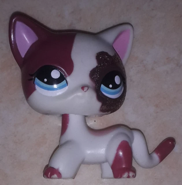 Petshop Chat Europeen 1120 pas cher - Meilleures ofes sur le neuf et l'occasion