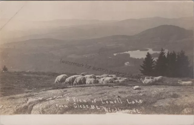 Windham, VT: RPPC View Of Lowell Lake Sheep, vintage Vermont Real Photo Postcard