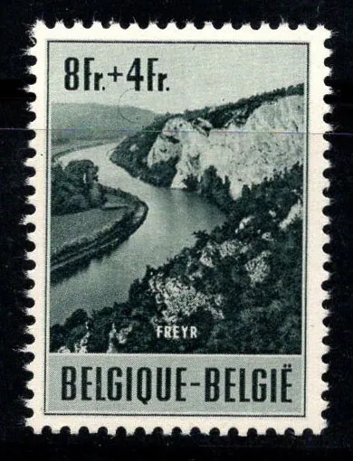 Belgique 1953 Mi. 972 Neuf ** 100% 8 fr, tourisme, paysages