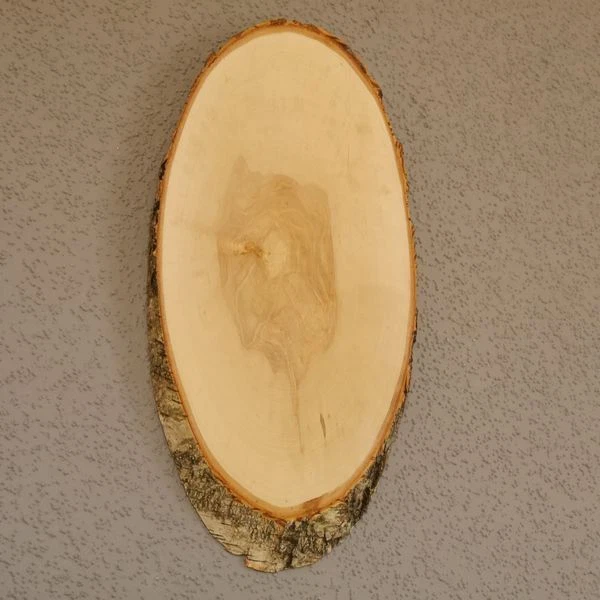 Abedul Ciervo AF35cm Placa Escudo de Trofeo Cornamenta Baumschild Natural Madera 2