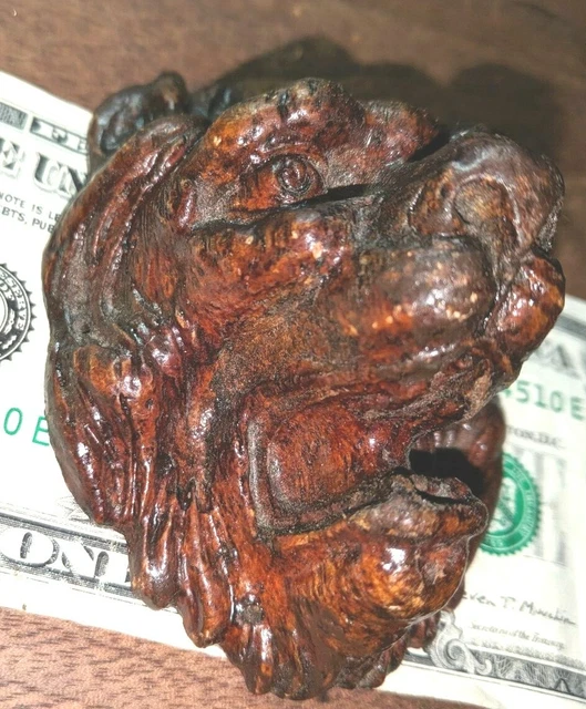 Gorgeous Antique 3 1/4" Architectural Salvage Plaster Composite Lions Lion Head