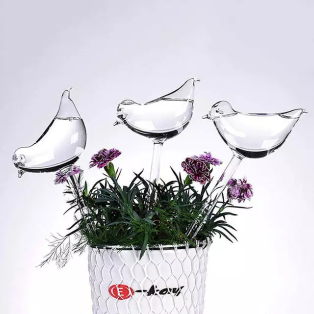 1-5Pcs Self Watering Device Waterer Houseplant Plant Bulb Garden Automatic Tools