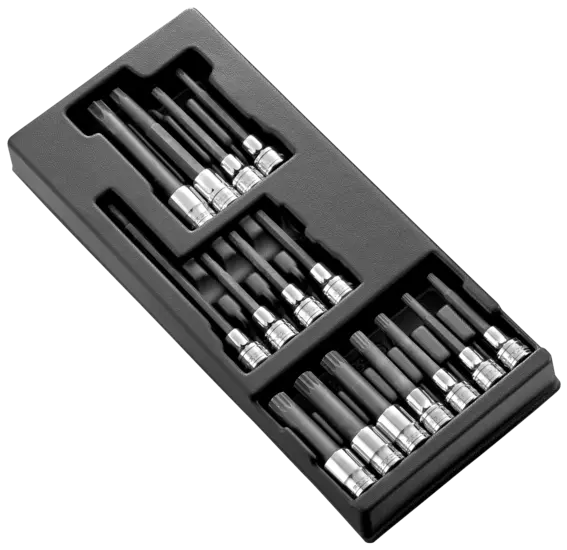 FACOM Modul mit 1/2" Schraubeinsätzen 16 teilig MOD.SHPA Facom Torx Vielzahn