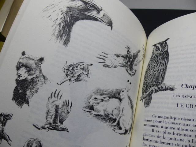 Gibiers de notre pays. Livre cinquième : Gibiers de montagne / nombreuses illustrations par