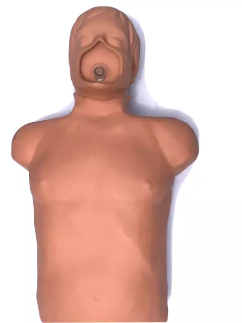 SIMULAIDS Brad Adult CPR Manikin Nursing EMT Training Dummy with carry bag SIMULAIDS Brad Adult CPR Manikin Nursing EMT Training Dummy with carry bag