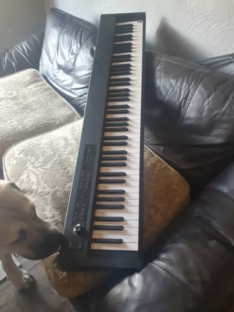 Korg rh3 store keybed
