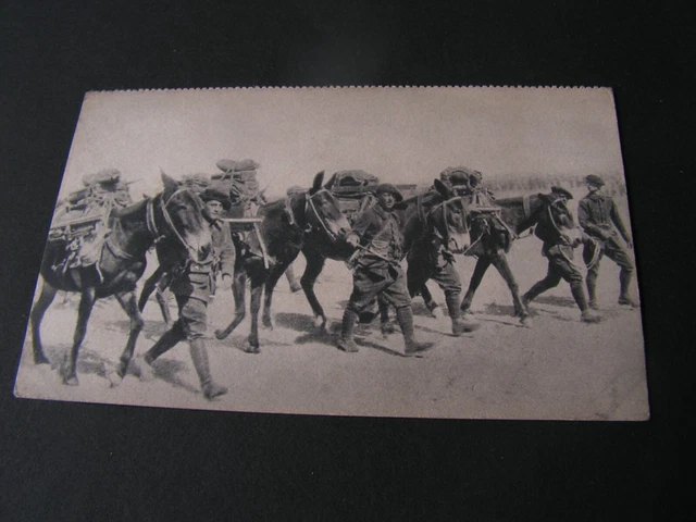 carte postal   militaire  soldats 1914  1918   section mitrailleuse alpin
