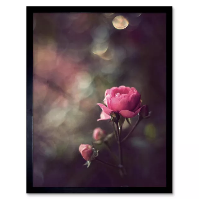 Vintage Pink Rose Flower Shabby Chic 12X16 Inch Framed Art Print