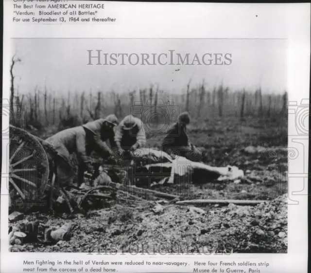 1964 Press Photo French Soldiers strip dead horse meat-Verdun Battle - spa66622