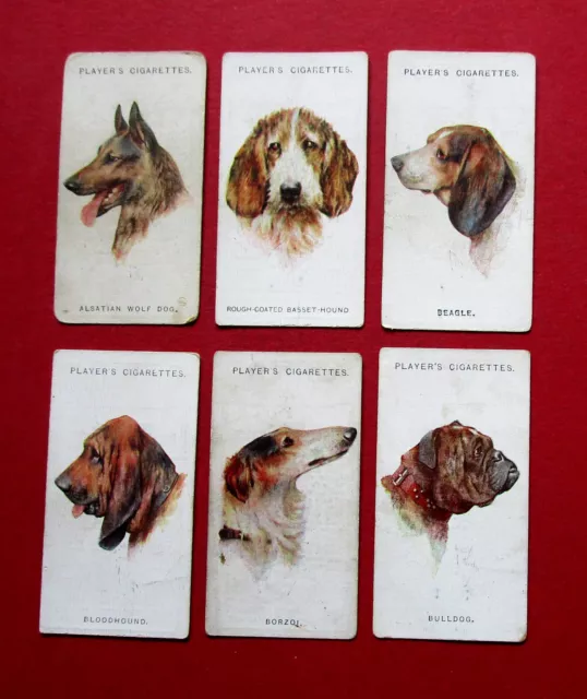 PLAYER 6 VINTAGE 1929 CIGARETTE CARDS  DOGS  by ARTHUR WARDLE  1-2-3-4-5-6