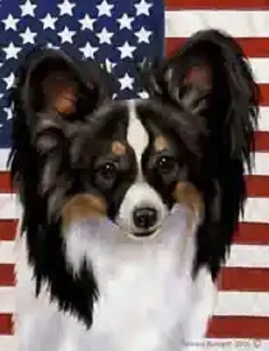 Patriotic (D2) House Flag - Dark Tri Papillon 32650