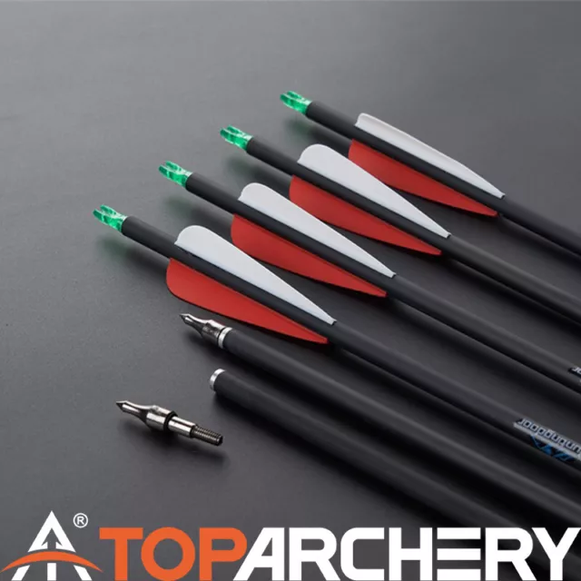 AU Archery Hunting 31" Arrows Carbon Shaft SP500-550 Arrows Screw-in Arrow Tips