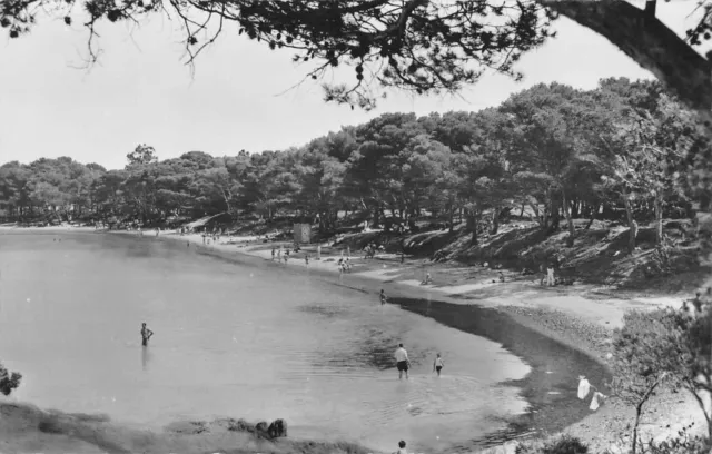 Cpa 83 Ile De Porquerolles Plage D'argent