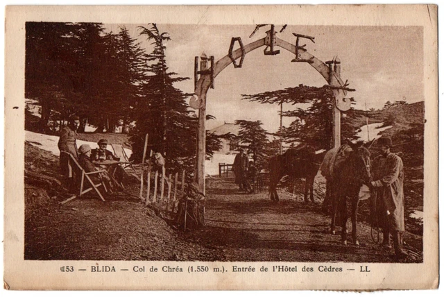 CPA ALGERIE - BLIDA - 53th Col de Chréa. Entrance to the Hotel des Cèdres