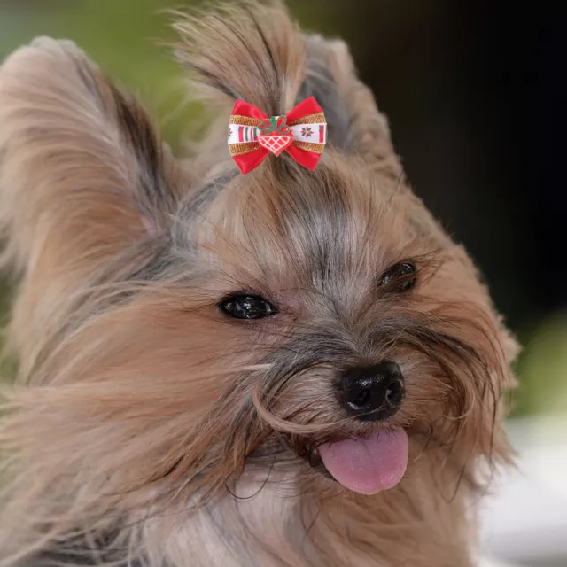 10 piezas de accesorios para cachorros para perros pequeños banda de goma cubierta de cabeza inclinada