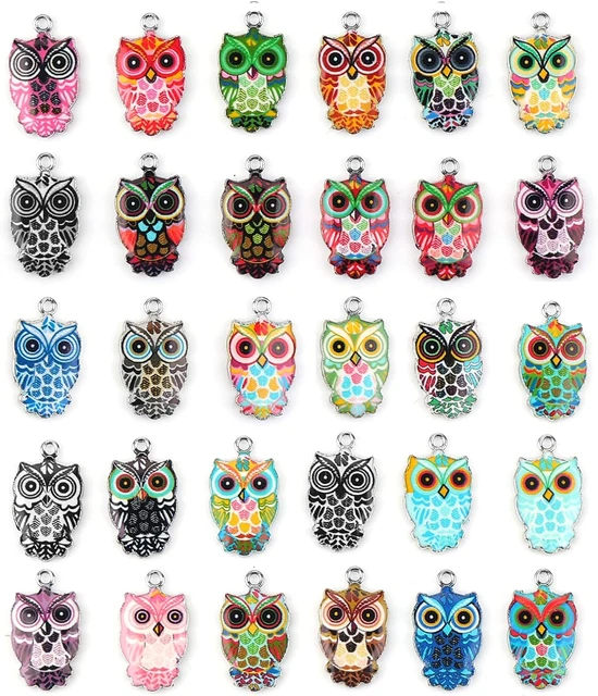30 Stück Eule Charms Eule Anhänger Bunte Eule Emaille Charms Metall Eule Anhänge