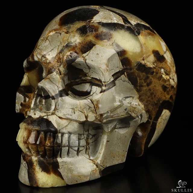 5.0" Dragon Septarian Stone Hand Carved Crystal Skull, Realistic, Healing