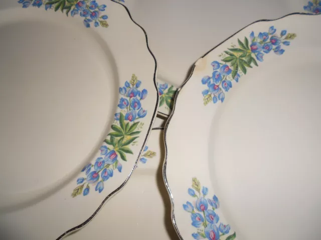 8 WS George Blue Flora Lido Scalloped Silver Trim 9 1/4" Dinner Plates USA #196A 3