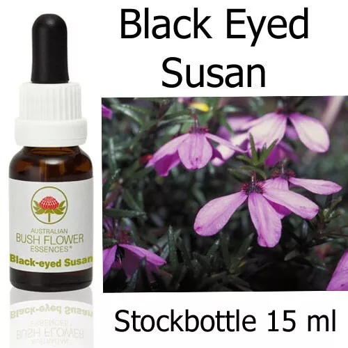 BLACK EYED SUSAN Australian Bush Flower Essences fiori cespuglio australiani
