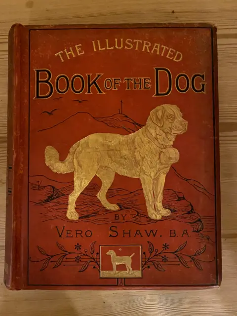 Rare Important Antique Colour Illus Dog Book By Shaw 1890 Deerhound Terrier