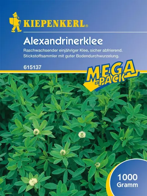 Alexandrinerklee Gründüngung 1kg