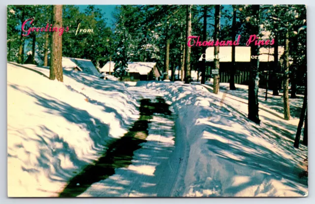 Postcard CA, GREETINGS FROM THOUSAND PINES, Crestline, California c1960's   CA1