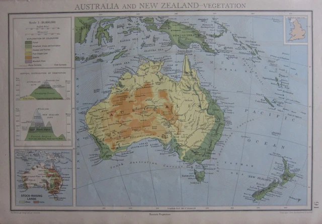 1942 CARTE AUSTRALIE & Neuf Ealand Végétation Vertical Distribution ...