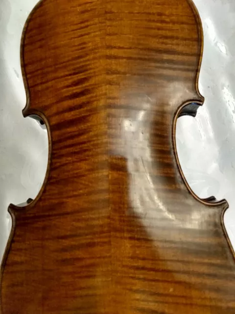 Beautiful Antique Violin With Rattlesnake Tail Inside