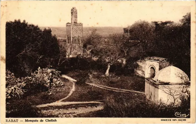 CPA AK MAROC RABAT - Mosquée de Chellah (92551)