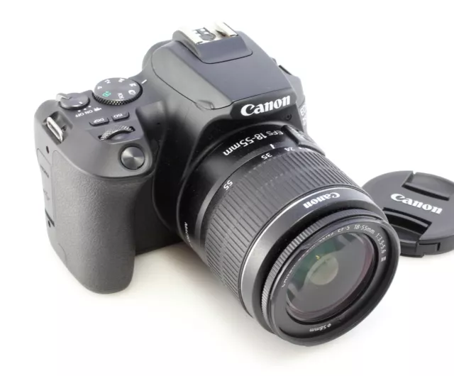 Canon EOS 250D 24.1MP DSLR Camera with EF-S 18-55mm f/3.5-5.6 MK III Lens