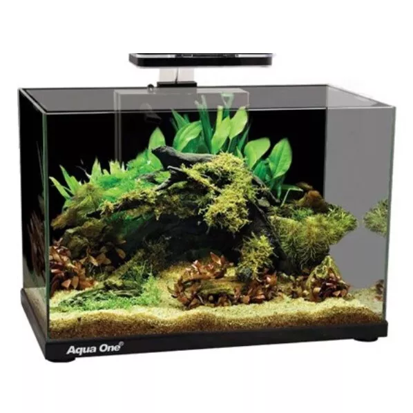 Aqua One Focus 36 Glass Aquarium 36L 50x25x36cm Black Fish Tank LED Light Filter