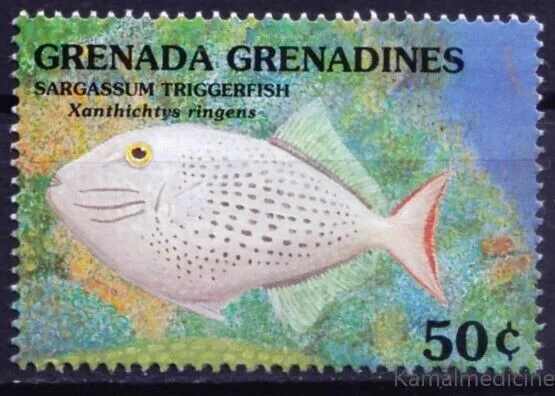 Grenada Grenadines 1991 MNH, Sargassum triggerfish, Marine Life, Fish  [Ts]