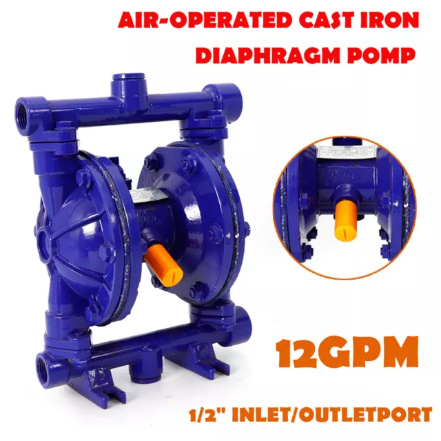 1/2" Inlet&Outlet For Petroleum Fluids Air-Operated Double Diaphragm Pump 12GPM