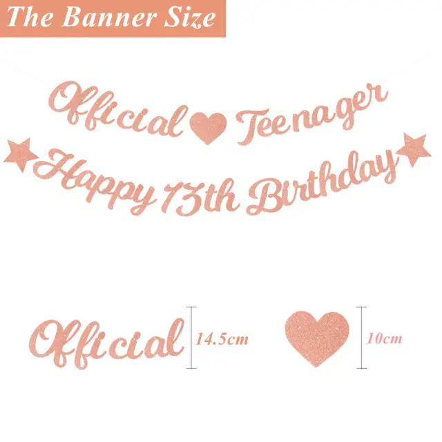 Elicola 13th Birthday Decorations for Girls Official Teenager Banner with Happy 2